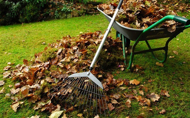 Preparing the garden for winter: how to cover fruit trees and fruit seedlings, at what temperature is warming carried out