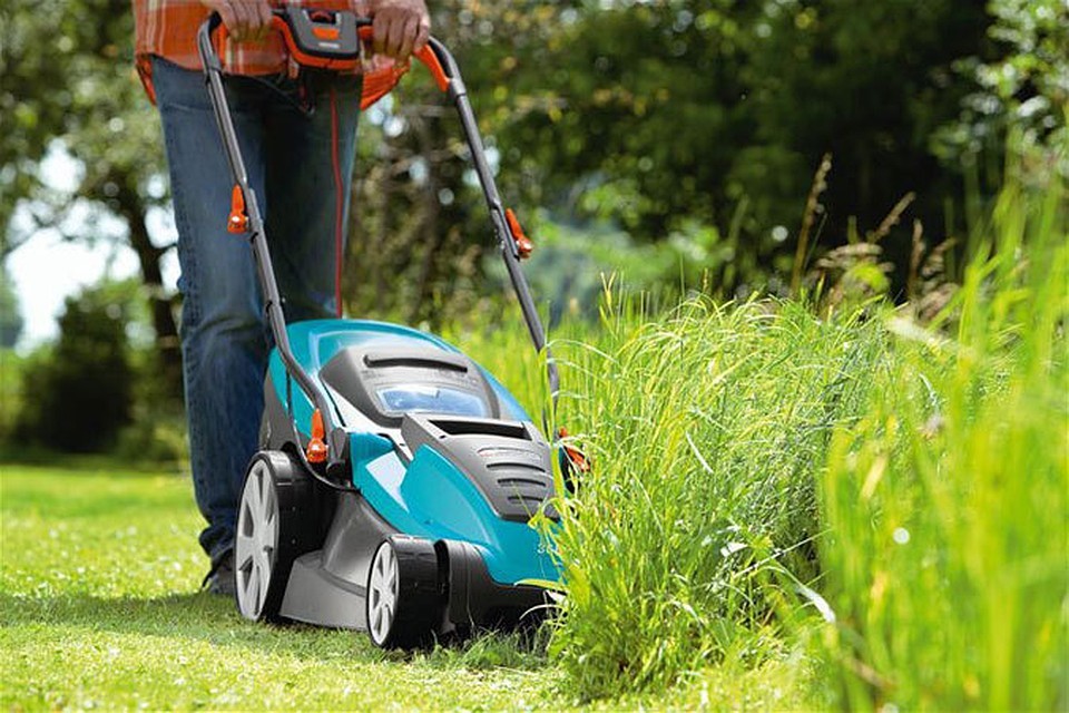 Preparing the lawn for winter and caring for the grass in the fall in different regions: inspection of the lawn mower and trimmer