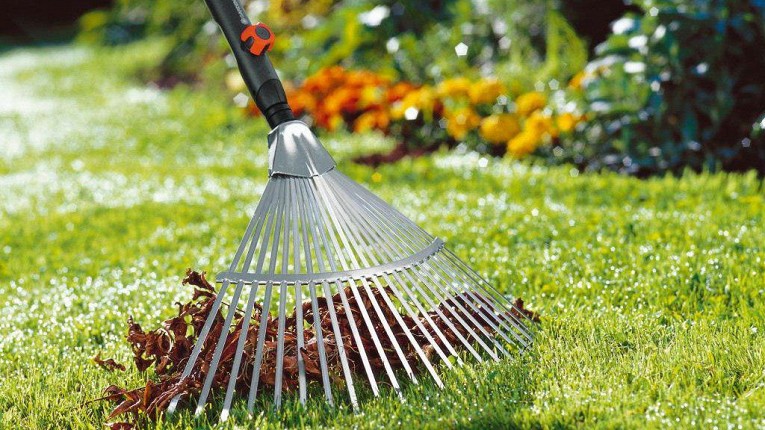 Preparing the lawn for winter and caring for the grass in the fall in different regions: inspection of the lawn mower and trimmer