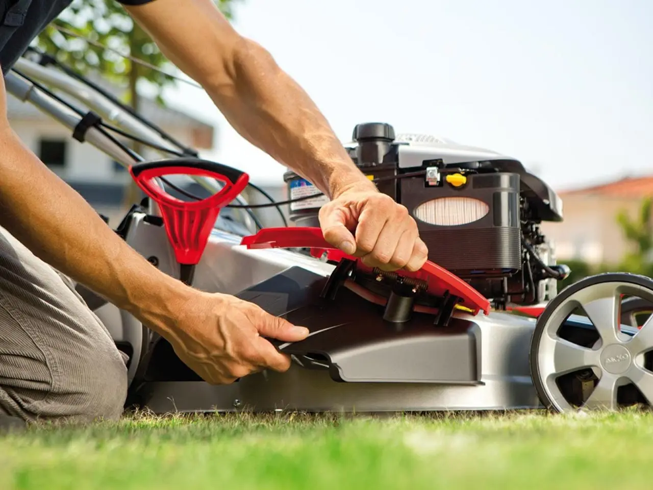 Preparing the lawn for winter and caring for the grass in the fall in different regions: inspection of the lawn mower and trimmer