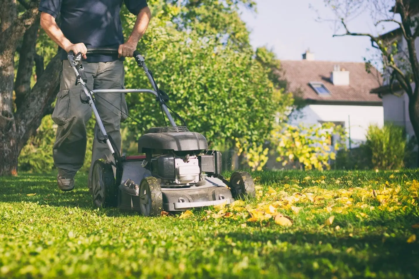 Preparing the lawn for winter and caring for the grass in the fall in different regions: inspection of the lawn mower and trimmer