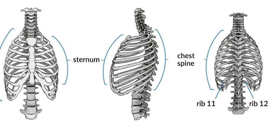 Pressure in the sternum – what are the characteristics of chest pain ...