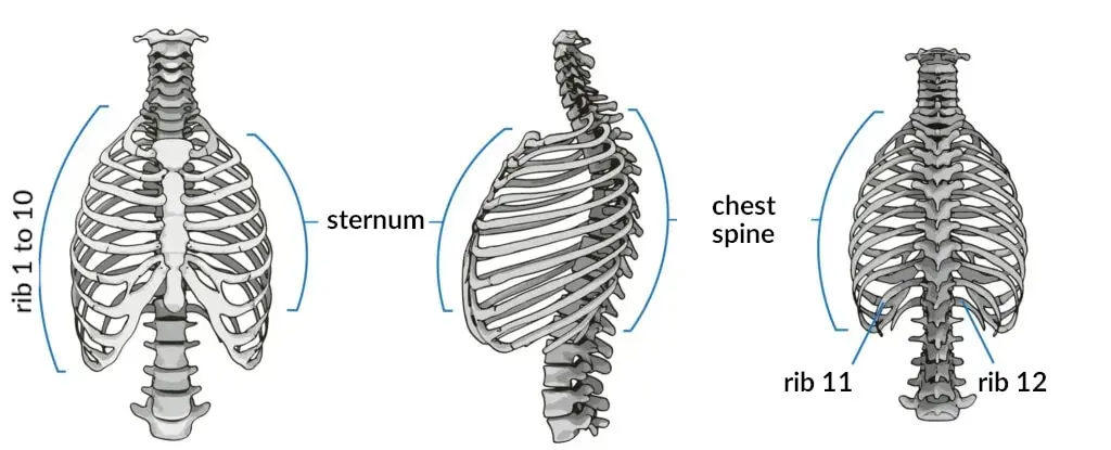 Pressure in the sternum &#8211; what are the characteristics of chest pain? The causes of oppression