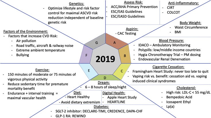 Preventive Cardiology 2019 &#8211; Krakow, November 22-23.11.2019, XNUMX