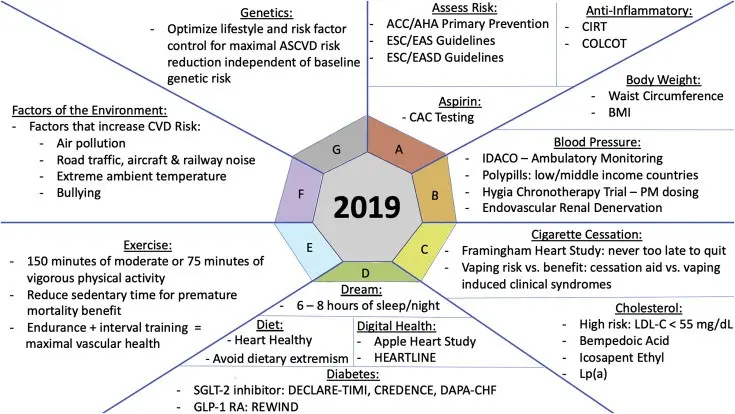 Preventive Cardiology 2019 &#8211; Krakow, November 22-23.11.2019, XNUMX