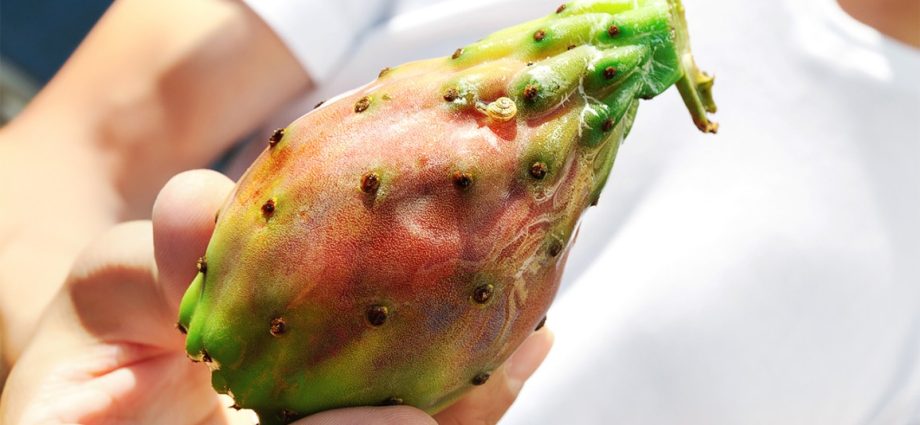 Prickly pear oil &#8211; properties, application, opinions. Effect of fig opuntia oil on the skin