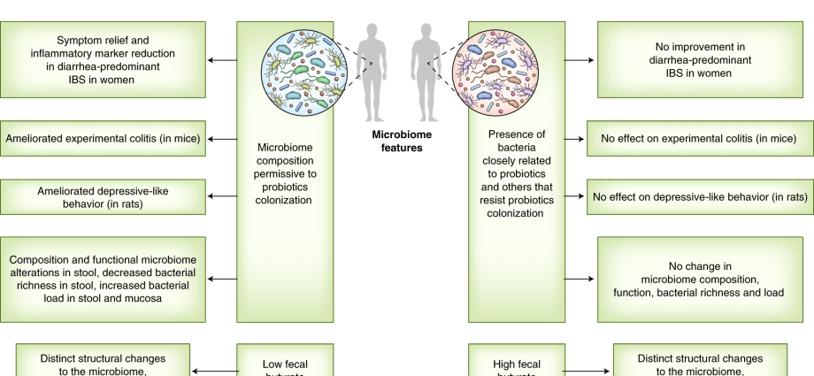 Probiotics in the service of immunity &#8211; what is this unique strength?