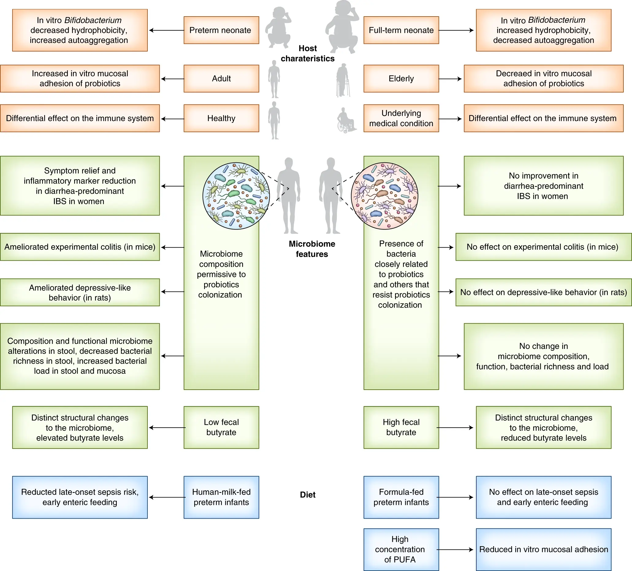 Probiotics in the service of immunity &#8211; what is this unique strength?