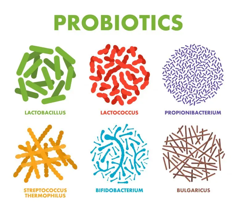 Probiotics ranking &#8211; how to choose the best probiotics for various ailments?