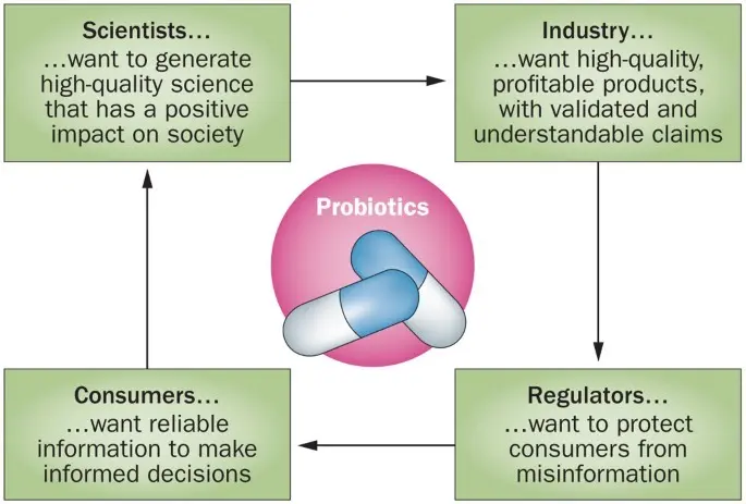 Probiotics &#8211; what are they, how to dose? When should probiotics be used? [WE EXPLAIN]