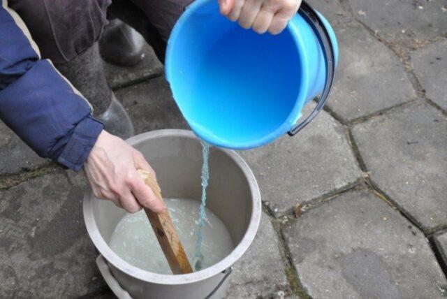 Processing an apple tree with Bordeaux liquid in spring and autumn