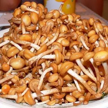 Processing methods before cooking