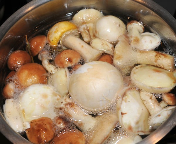 Processing of mushrooms