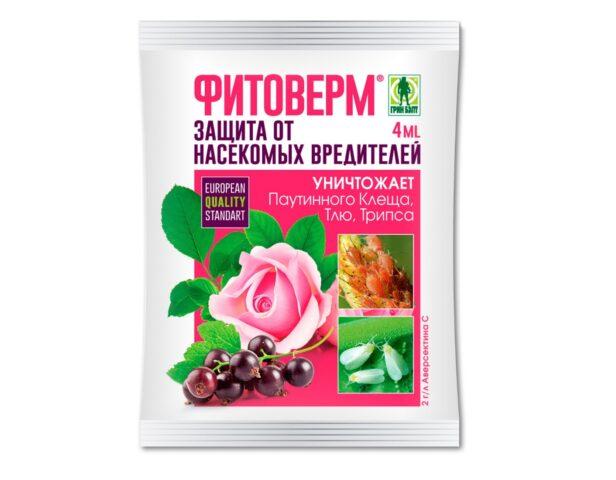 Processing strawberries with Fitoverm: during flowering, after harvest