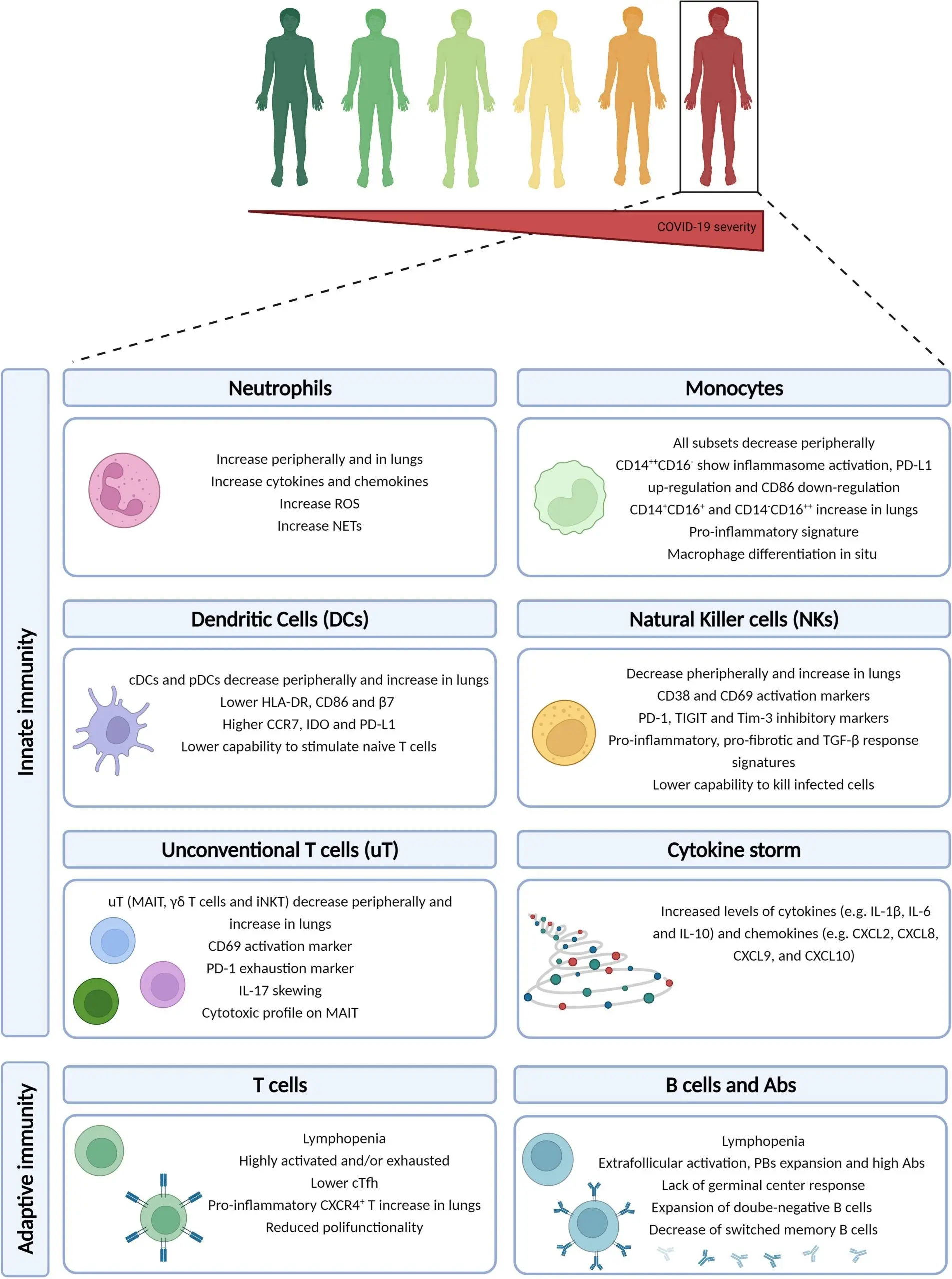 Prof. Adam Witkowski: Coronavirus is a much stronger threat for heart patients