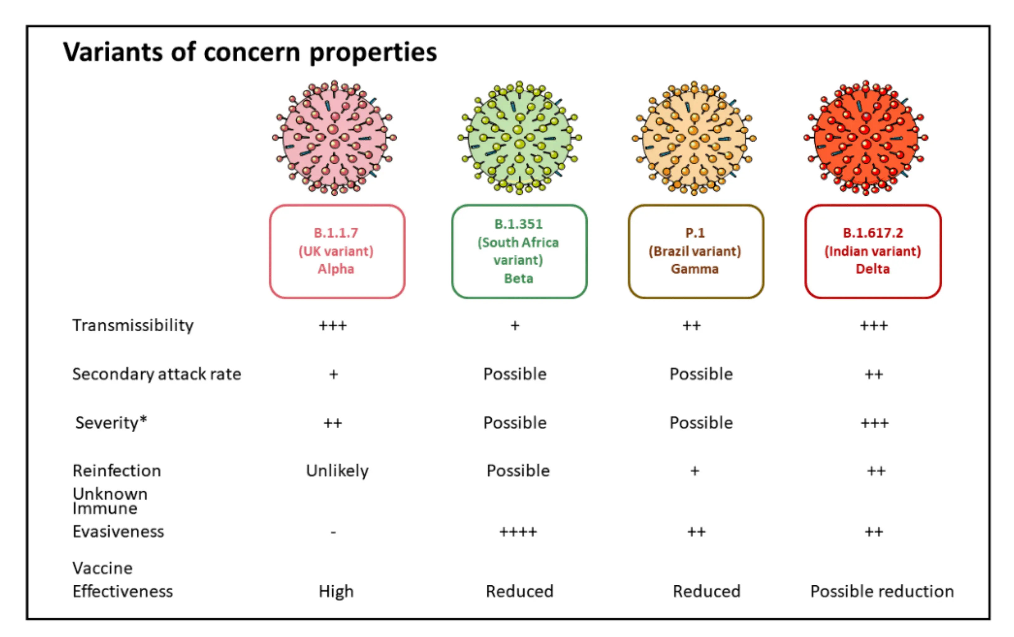 Prof. Gut: Vaccines target the Brazilian variant of the coronavirus