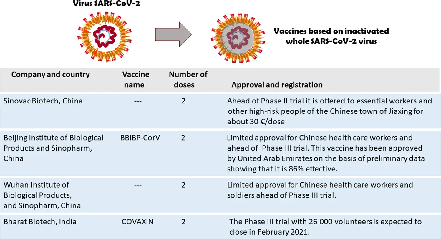 Prof. Horban: We&#8217;ll get COVID-19 faster than the vaccine will protect us