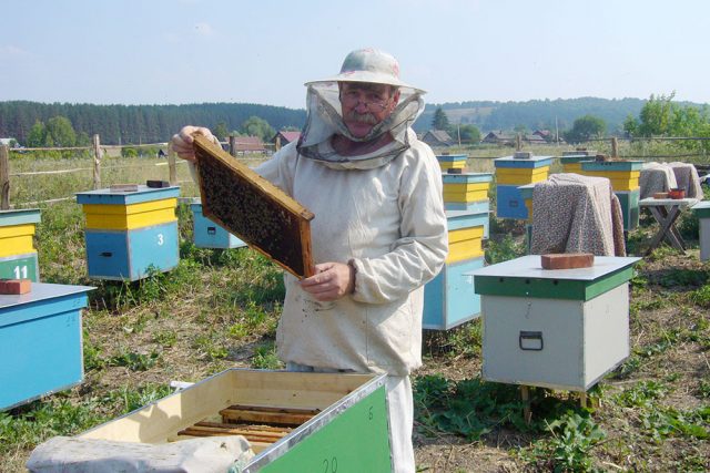 Profession beekeeper