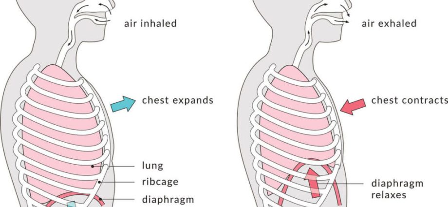 Proper breathing &#8211; how does it affect our body?