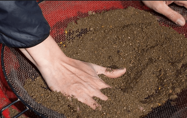 Proper soil preparation for tomato seedlings