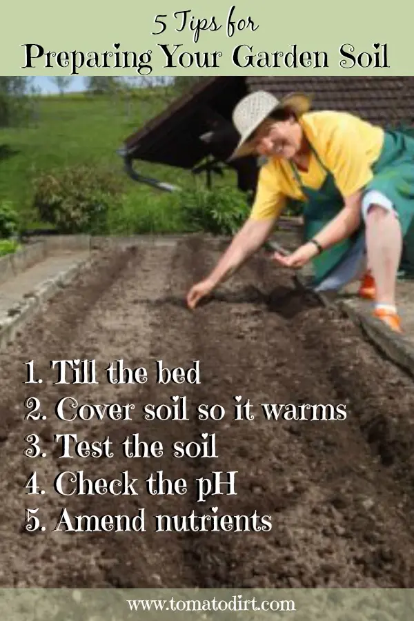 Proper soil preparation for tomato seedlings