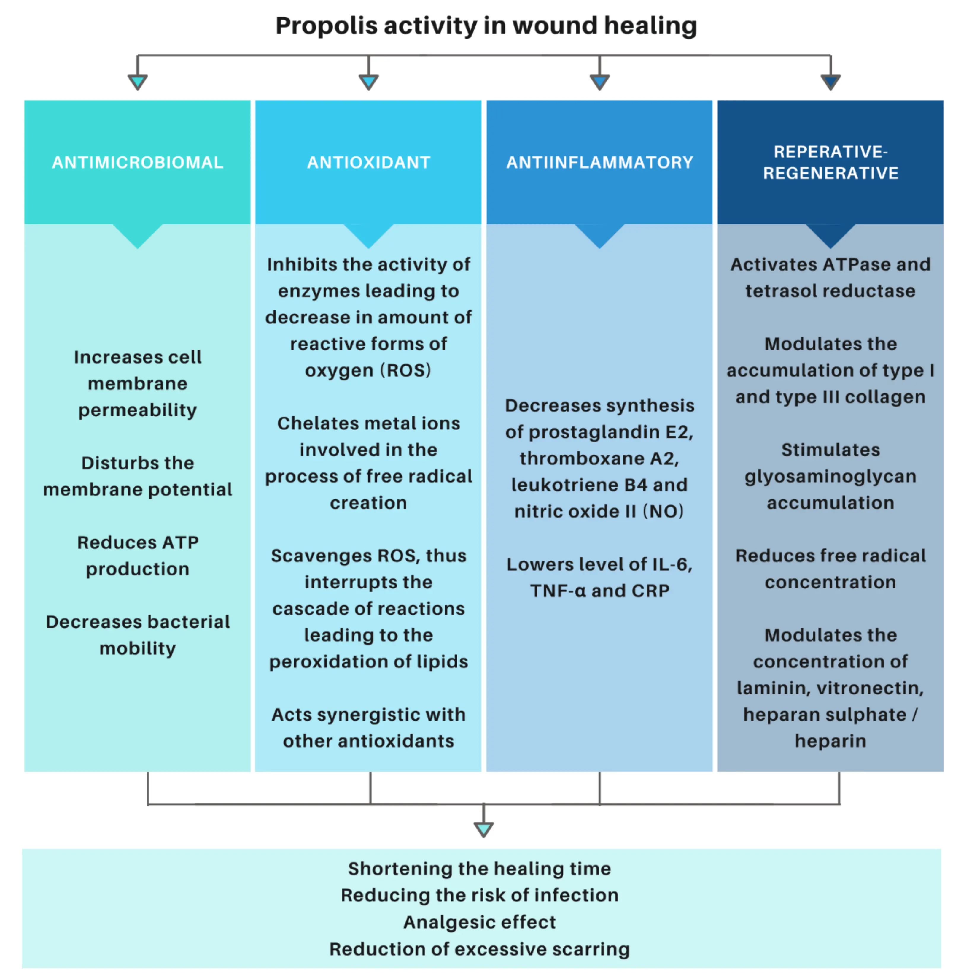 Propolis drops &#8211; action, application, indications, opinions