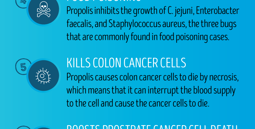 Propolis: medicinal properties and contraindications