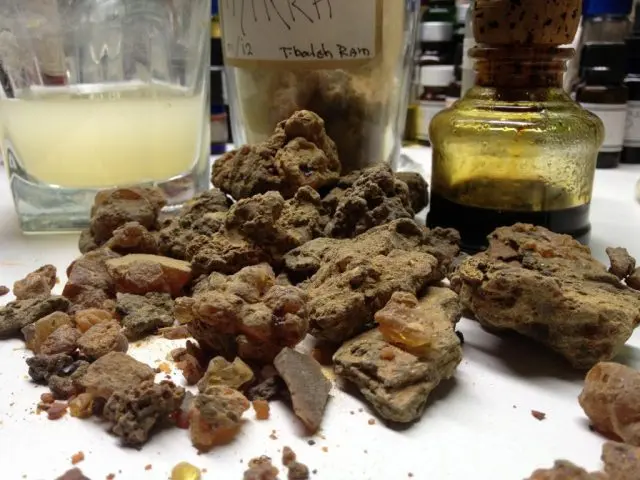 Propolis on alcohol: medicinal properties and contraindications