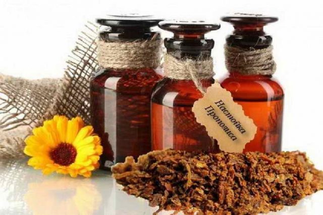 Propolis on alcohol: medicinal properties and contraindications