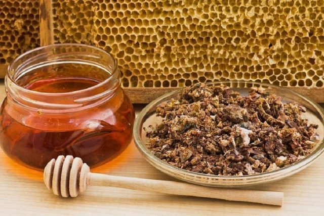 Propolis tincture for cough and other recipes