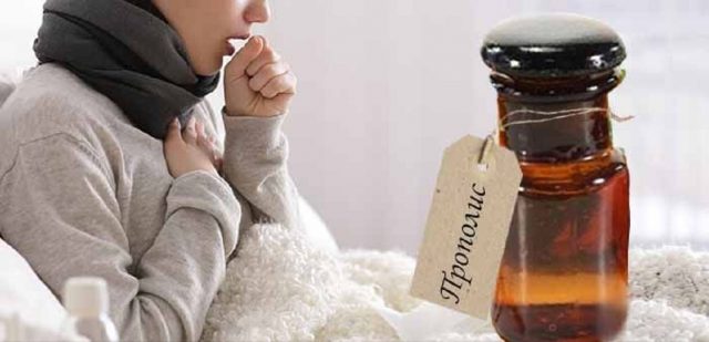 Propolis tincture for cough and other recipes