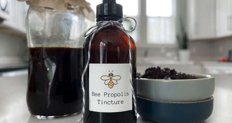 Propolis tincture for cough and other recipes