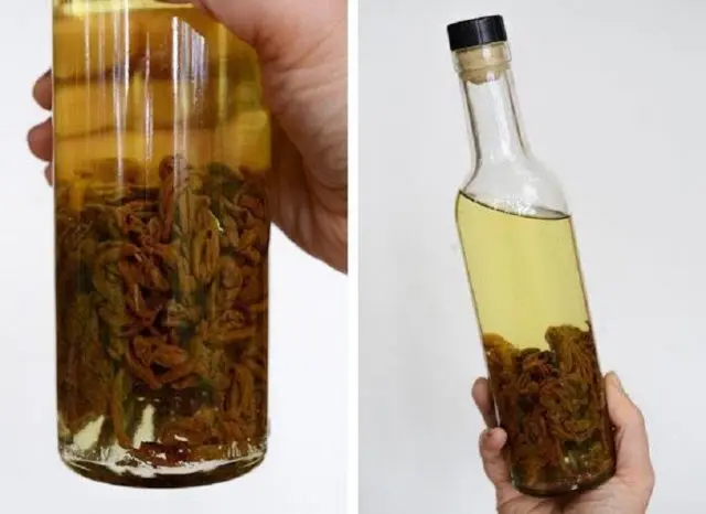 Propolis tincture on vodka: cooking at home