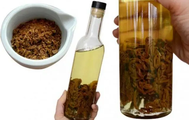 Propolis tincture on vodka: cooking at home