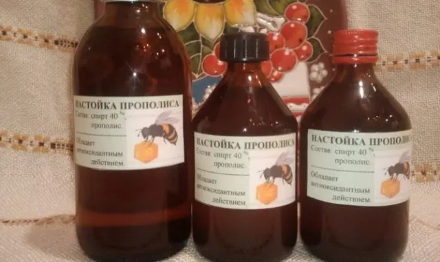 Propolis tincture: what helps and how to take it correctly