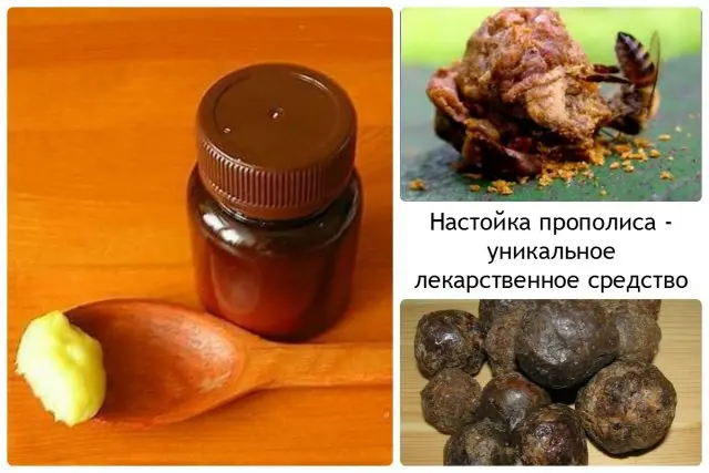 Propolis tincture: what helps and how to take it correctly