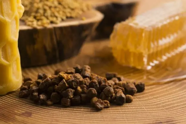 Propolis tincture: what helps and how to take it correctly