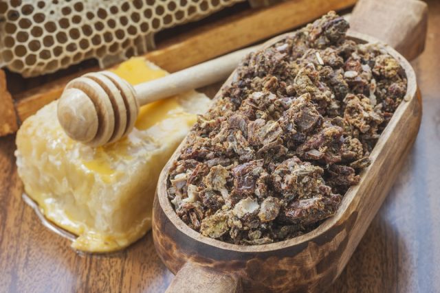 Propolis tincture: what helps and how to take it correctly