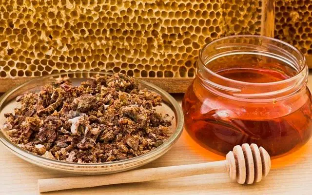 Propolis tincture with milk: medicinal properties and contraindications