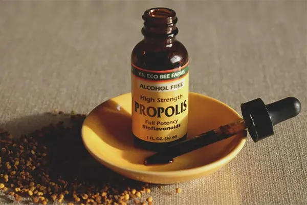 Propolis tincture with milk: medicinal properties and contraindications