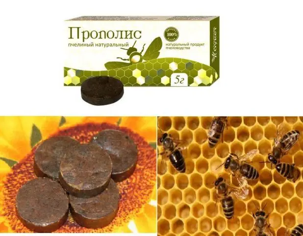 Propolis with butter and vegetable oil: how to cook