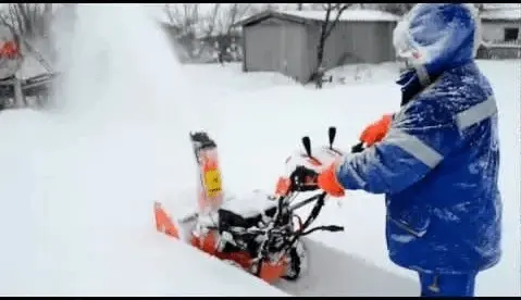 Prorab petrol snow blower: overview of models