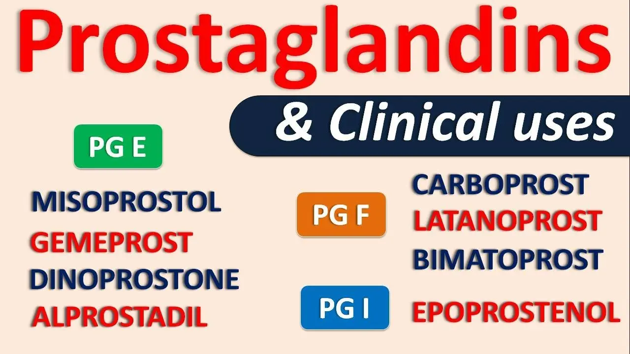 Prostaglandins and their application in medicine