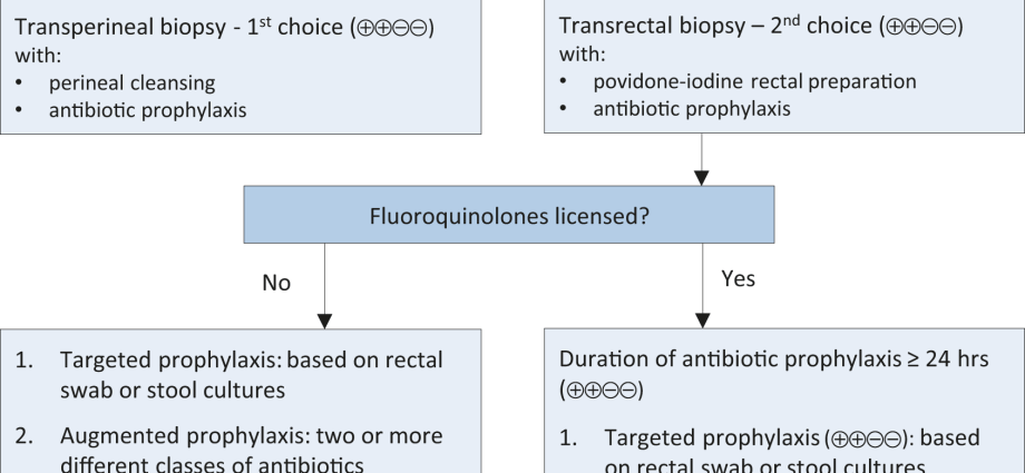 Prostate biopsy &#8211; indications, course, advantages and disadvantages