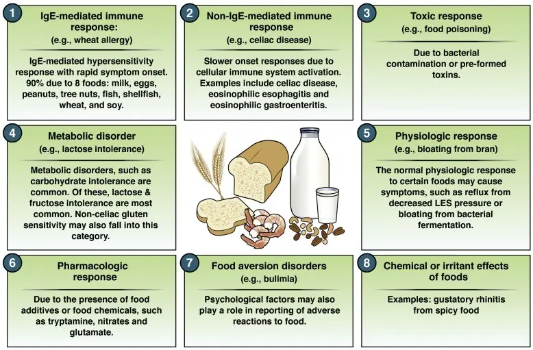 Protein diathesis in adults &#8211; main symptoms, elimination diet, drug treatment