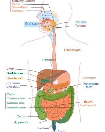 Protein-losing enteropathy