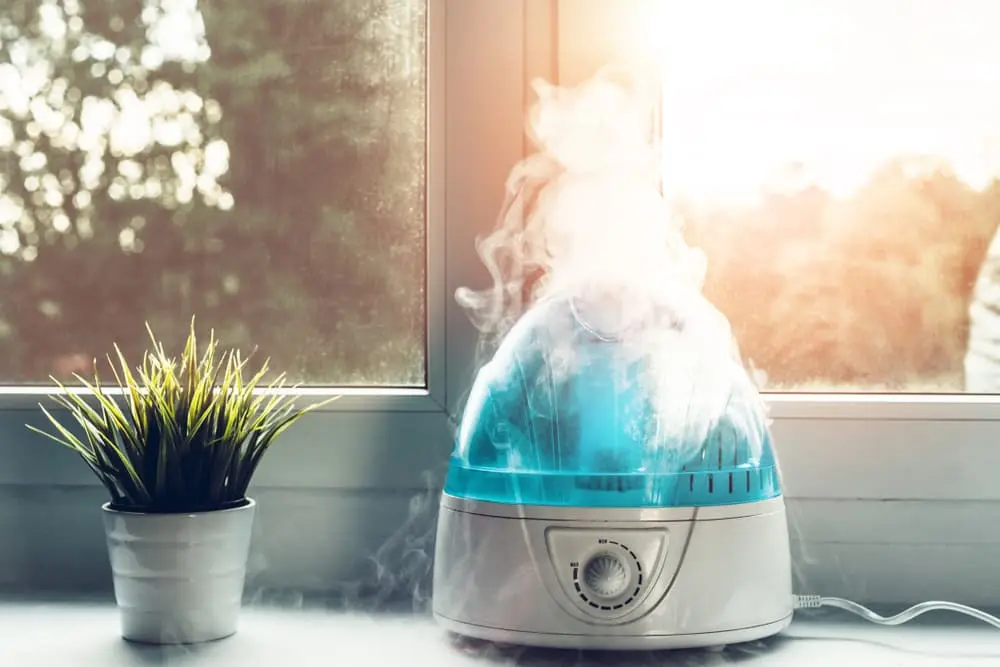 Proven ways to dry air at home