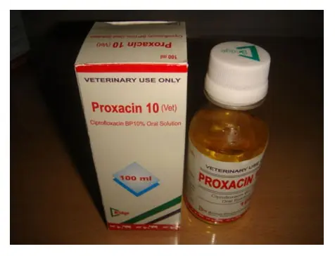 Proxacin &#8211; composition, action, dosage. Is Proxacin prescription?