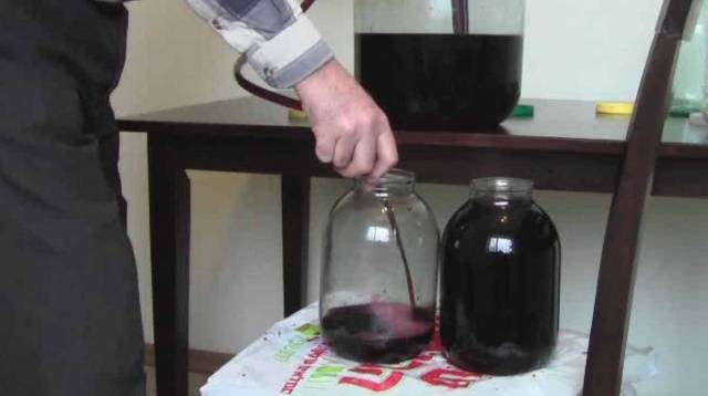 Prune wine at home: a simple recipe