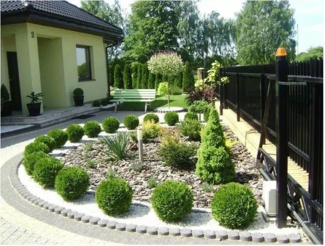 Pruning (haircut) thuja in autumn, spring: shaping with a spiral, cone, decorative pruning forms for beginners